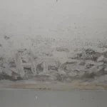 Hidden Moisture Inspection in Charlotte | Home Inspection Carolina