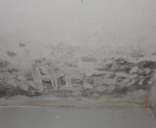 Mold found on a ceiling and a bathroom in Charlotte NC