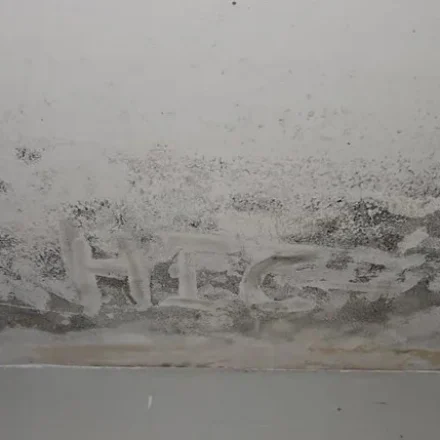 Mold found on a ceiling and a bathroom in Charlotte NC