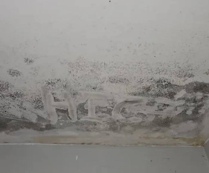 Mold found on a ceiling and a bathroom in Charlotte NC