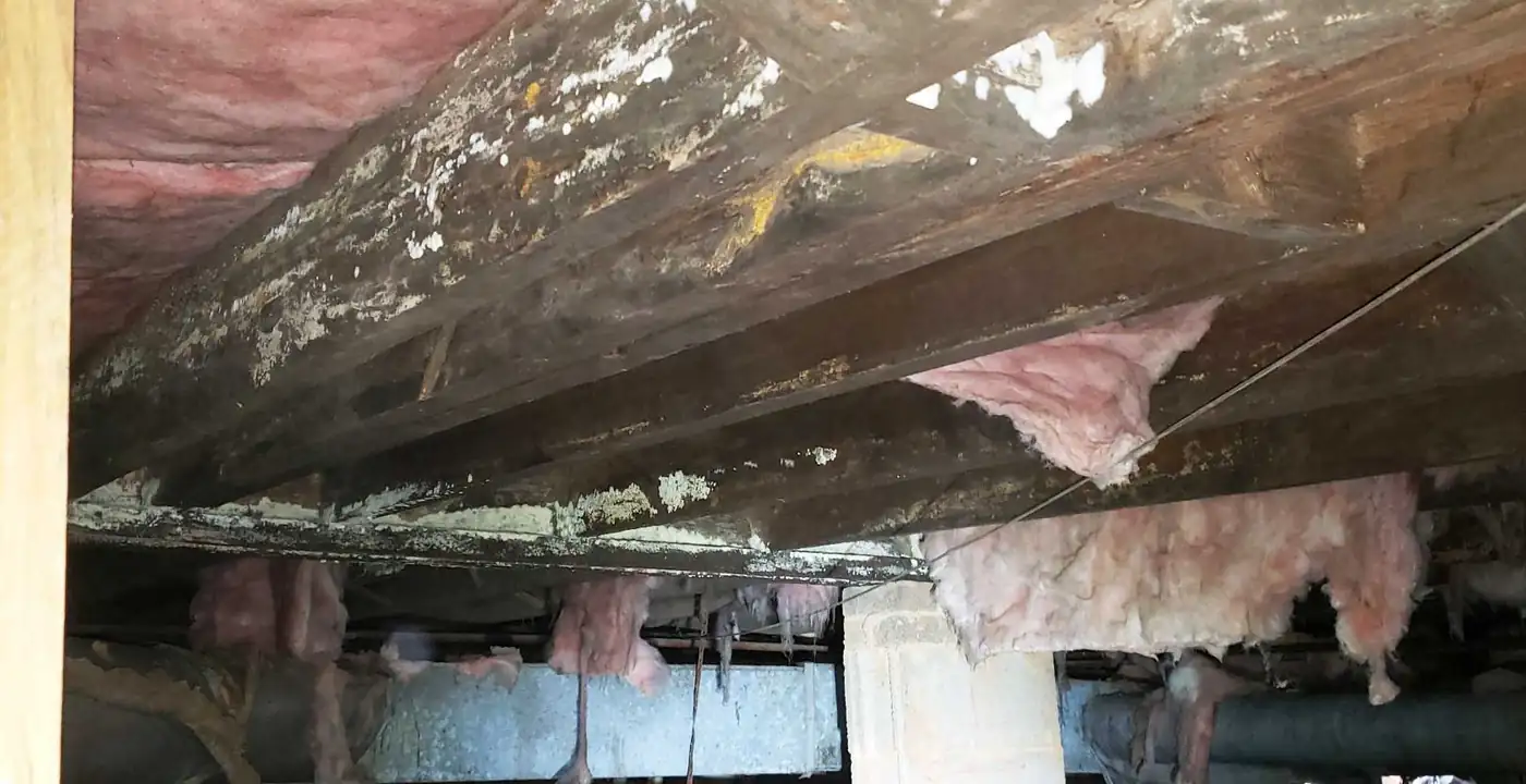 Mold growth found in a crawlspace during a Home Inspection Carolina inspection