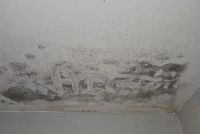 Hidden Moisture Inspection in Charlotte | Home Inspection Carolina